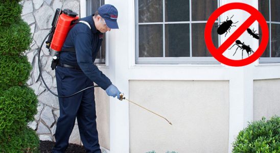 Germencik Kene İlaçlama böcek ilaçlama ve haşere kontrolü — ilaclama-tr.com